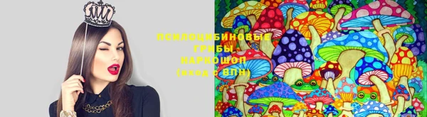 сатива Верея