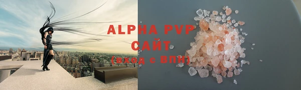 сатива Верея