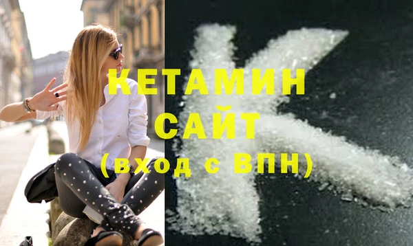 сатива Верея