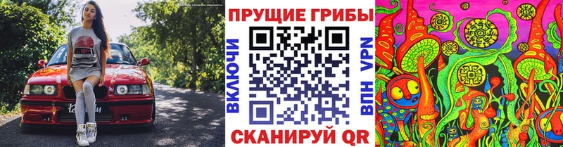 Купить закладки  Белинский  Галлюциногенные грибы Psilocybe 